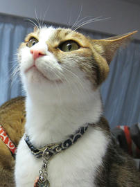 IMG06969.jpg