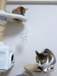IMG06970.jpg