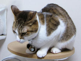 IMG06971.jpg