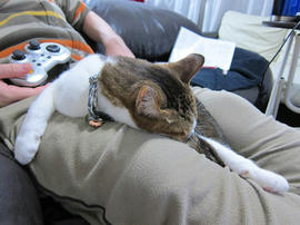 IMG06972.jpg