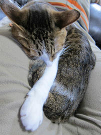 IMG06973.jpg