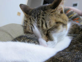 IMG06974.jpg
