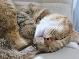 IMG06975.jpg