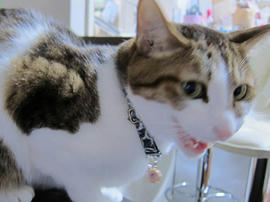 IMG06977.jpg