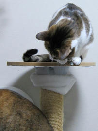 IMG06992.jpg