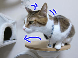 IMG07006.jpg