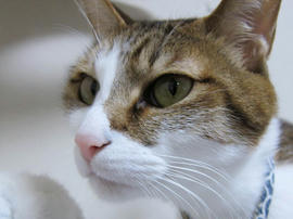 IMG07008.jpg