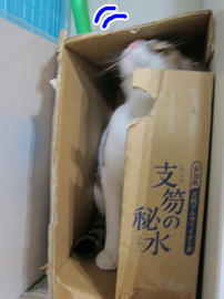 IMG07013.jpg