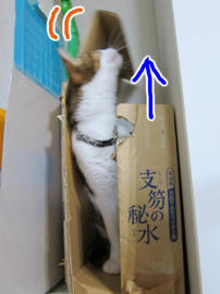 IMG07015.jpg
