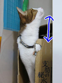 IMG07017.jpg