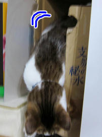 IMG07018.jpg