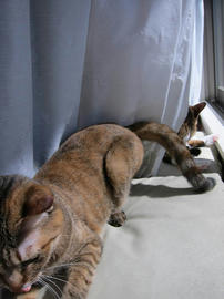 IMG07022.jpg