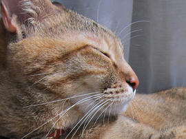 IMG07024.jpg