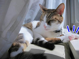 IMG07025.jpg
