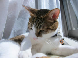 IMG07026.jpg