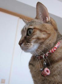 IMG07030.jpg