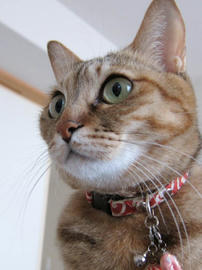 IMG07031.jpg