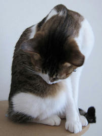 IMG07039.jpg