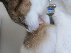 IMG07041.jpg