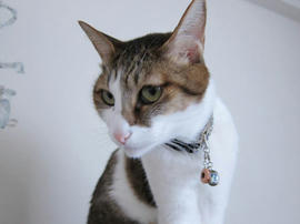 IMG07042.jpg