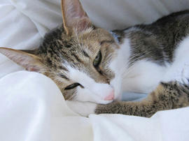 IMG07043.jpg