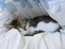 IMG07044.jpg