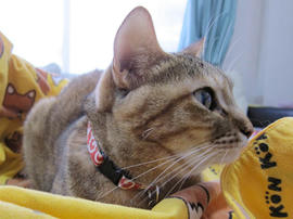 IMG07045.jpg
