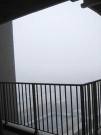 IMG07049.jpg