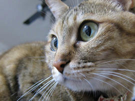 IMG07051.jpg