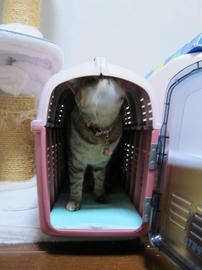 IMG07058.jpg