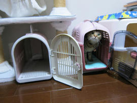 IMG07059.jpg