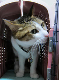 IMG07063.jpg