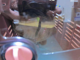 IMG07071.jpg