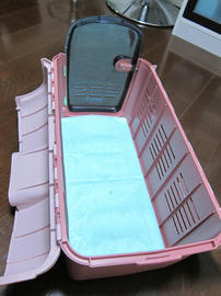 IMG07075.jpg