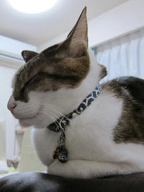 IMG07087.jpg