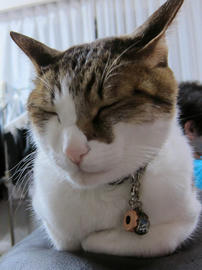 IMG07089.jpg