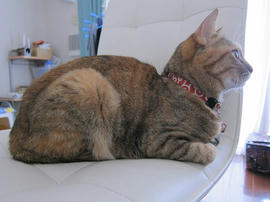 IMG07092.jpg