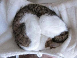 IMG07093.jpg