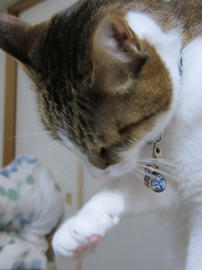 IMG07094.jpg