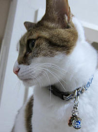 IMG07096.jpg
