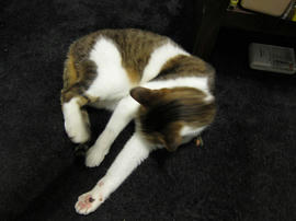 IMG07102.jpg