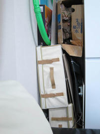 IMG07106.jpg