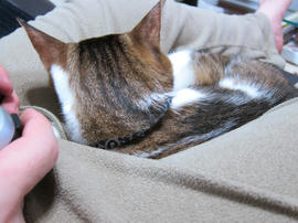 IMG07109.jpg