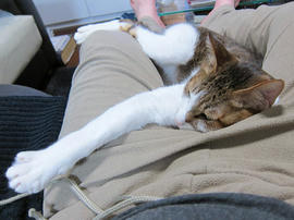 IMG07111.jpg