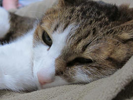 IMG07113.jpg