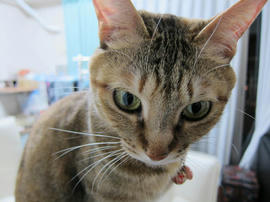 IMG07115.jpg