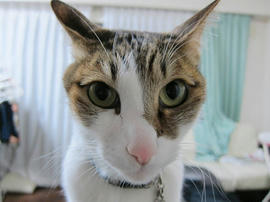 IMG07116.jpg