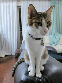 IMG07117.jpg