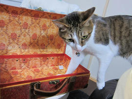 IMG07123.jpg