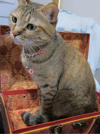 IMG07129.jpg